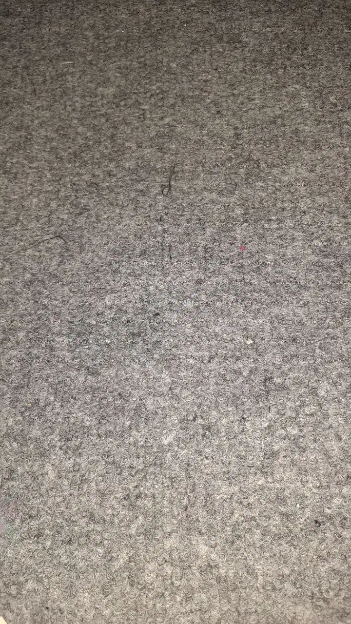 موکت|موکت|همدان, |دیوار