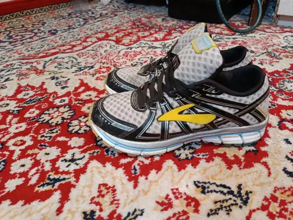 کفش|کیف، کفش، کمربند|شیراز, جوادیه|دیوار