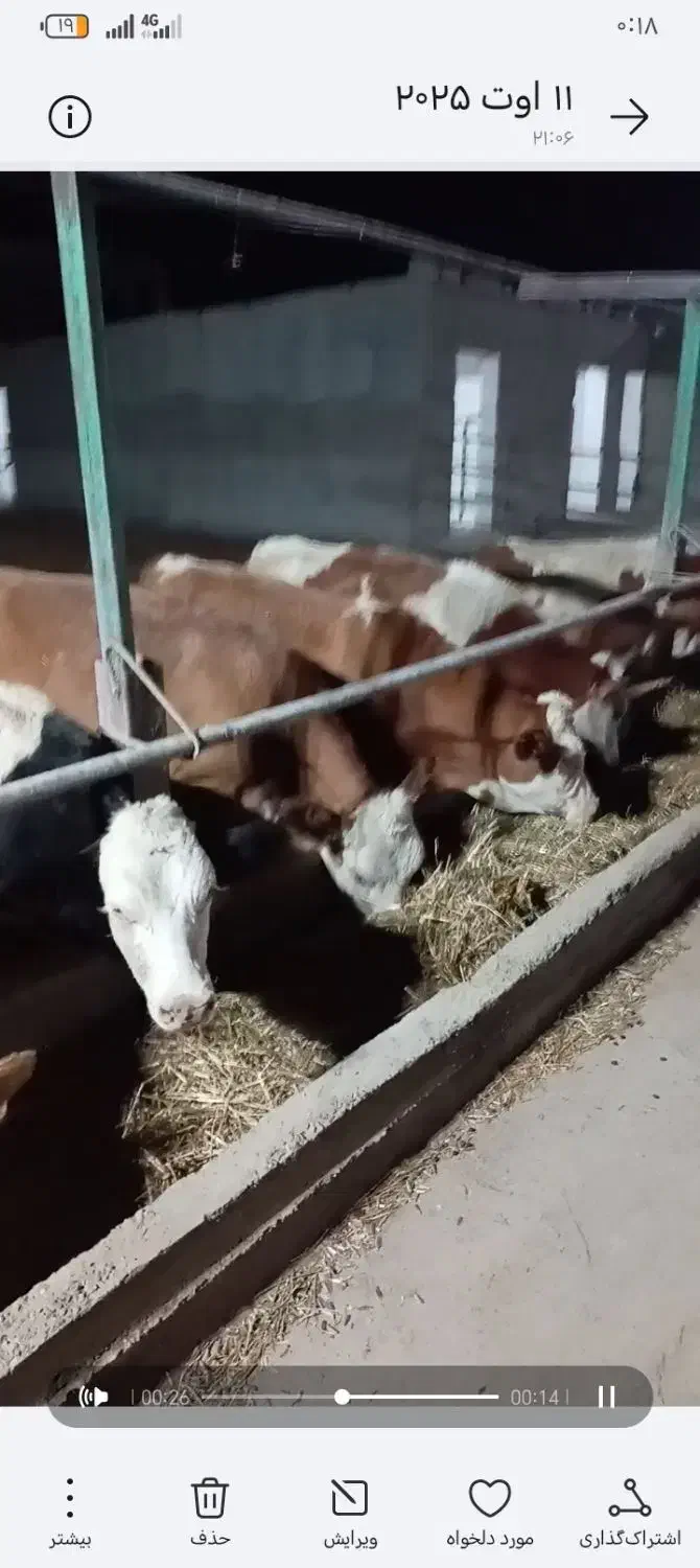 سلام نیازمند کار گاو داری شیری|استخدام صنعتی، فنی، مهندسی|سبزوار, مدرس|دیوار