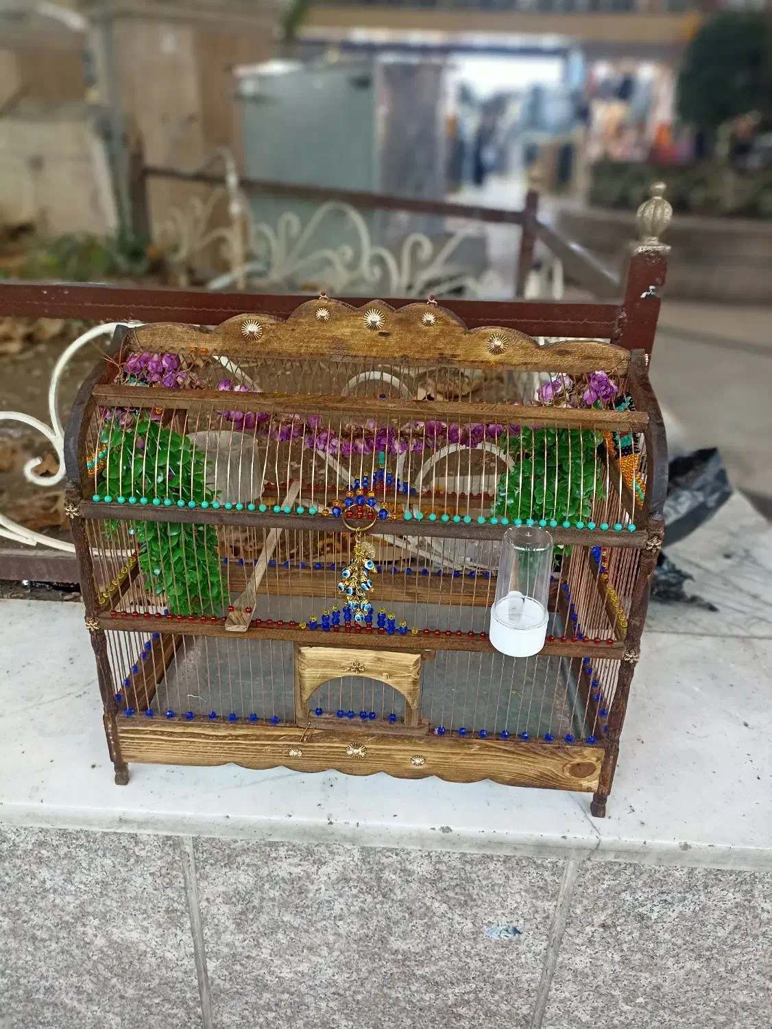 انواع سهره قناری و قفس سلطنتی پرنده های خاص|پرنده|مشهد, عنصری|دیوار