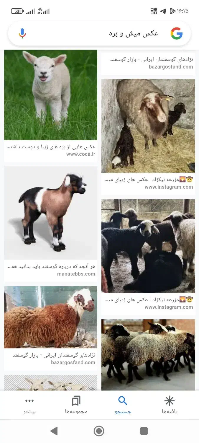 هورو کردن گوسفند میش و بره.بز و بزغاله|خدمات پیشه و مهارت|خزل, |دیوار