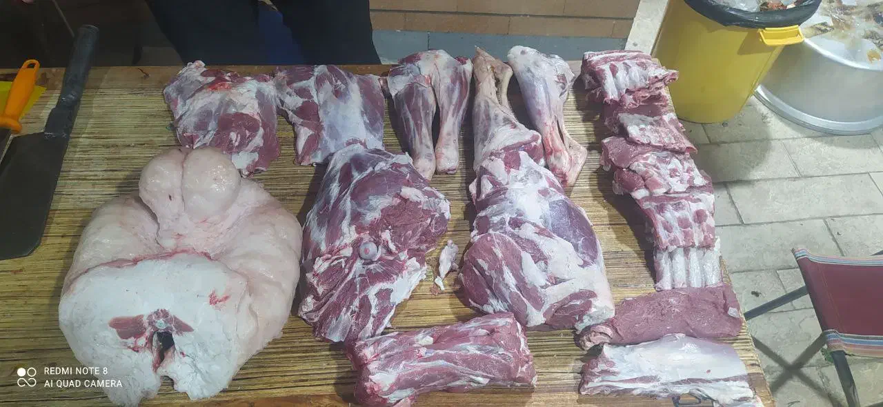 ذبح گوسفند و گوساله|خدمات پذیرایی، مراسم|باسمنج, |دیوار