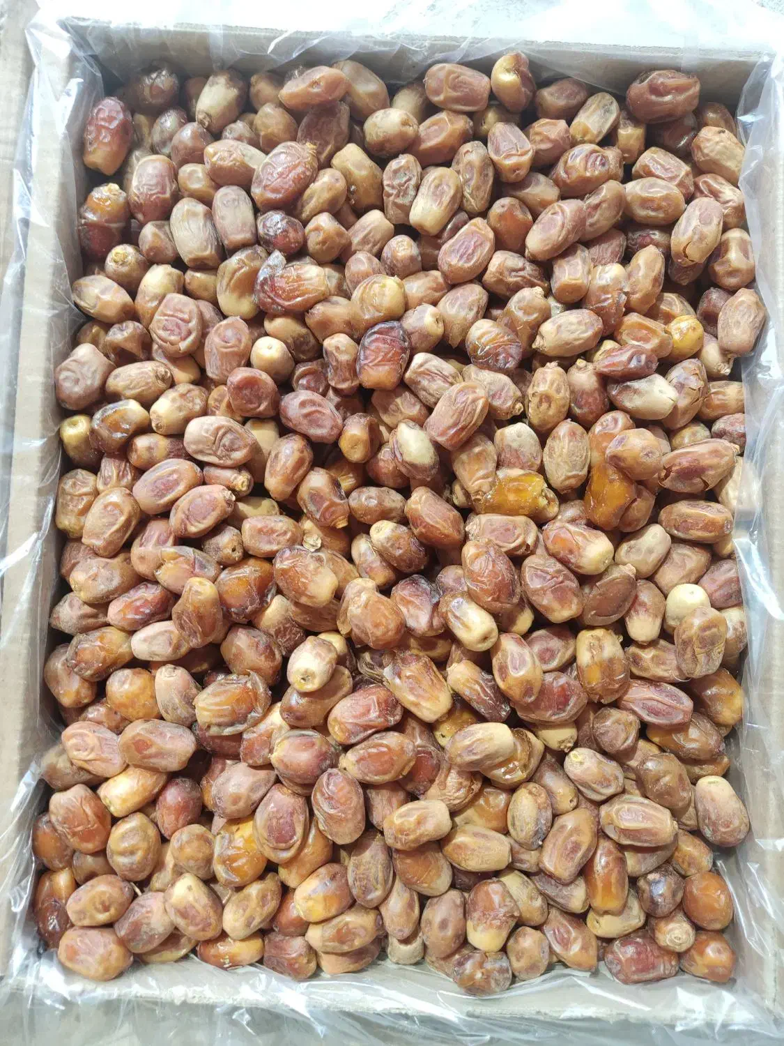 زاهدی (قصب)|عمده‌فروشی|بوشکان, |دیوار