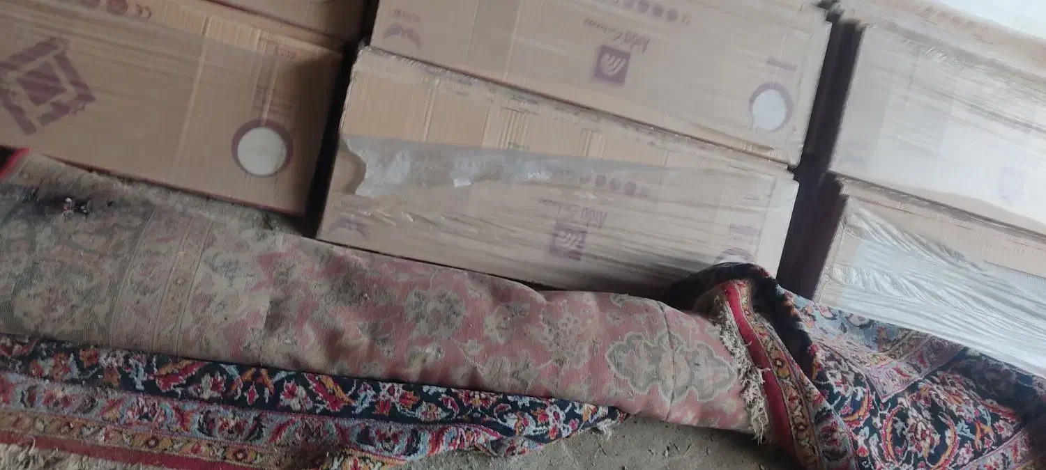 فرش ۱۲متری|فرش|بروجرد, |دیوار