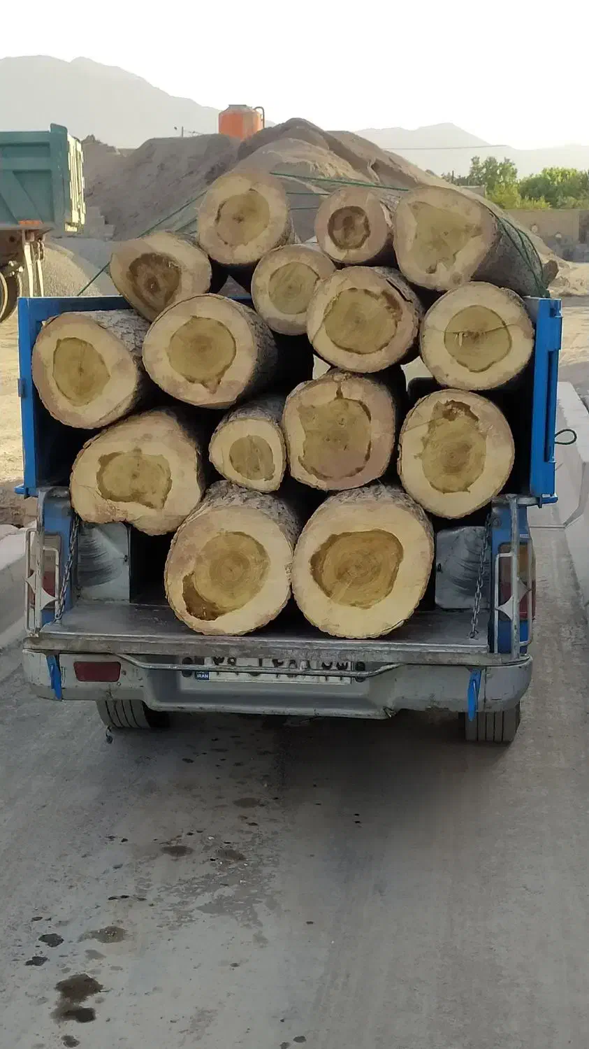 چوب|خدمات باغبانی و درختکاری|کاشان, راوند|دیوار