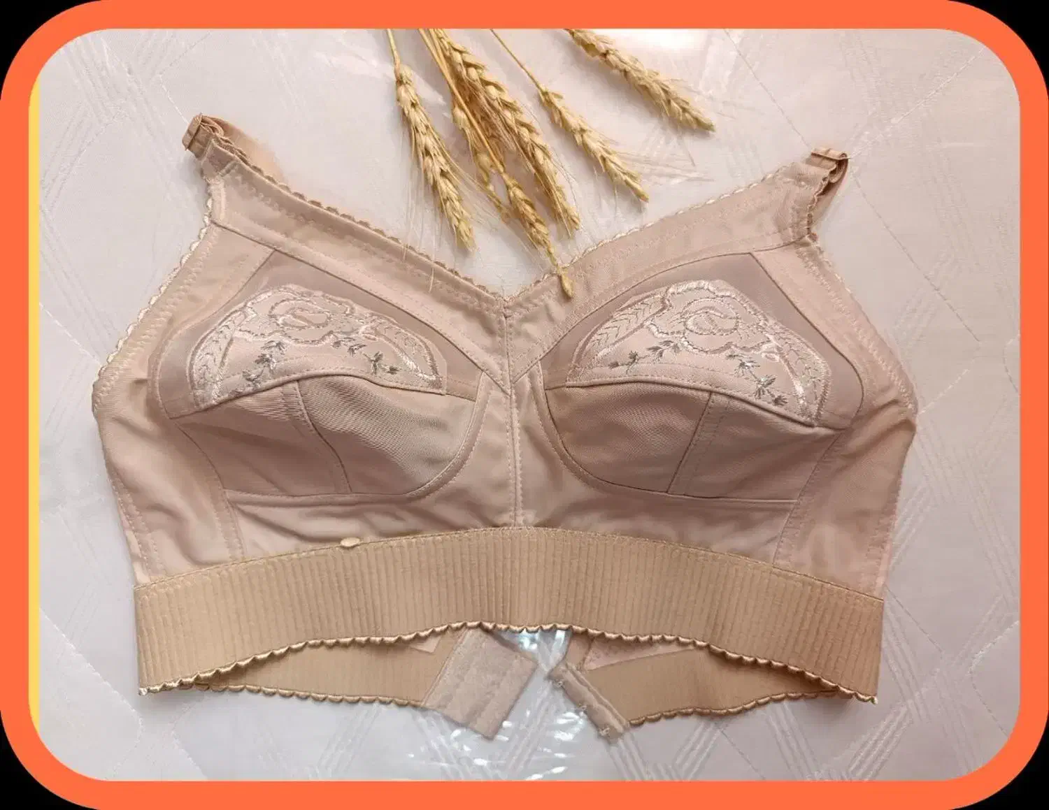 لباس زیر|لباس|شهرکرد, |دیوار