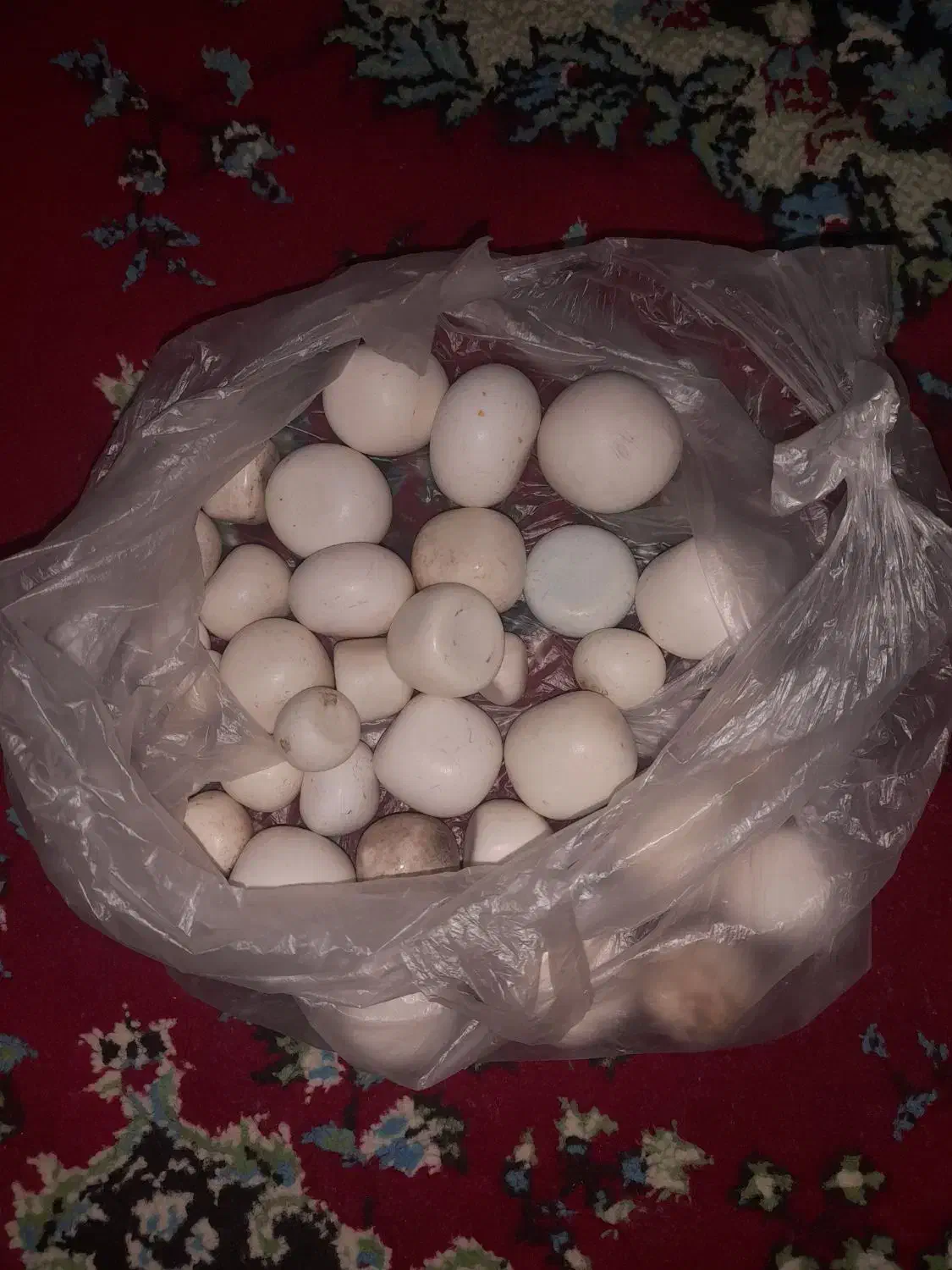 سنگ الماس آسیاب|کلکسیون اشیاء عتیقه|فلاورجان, |دیوار