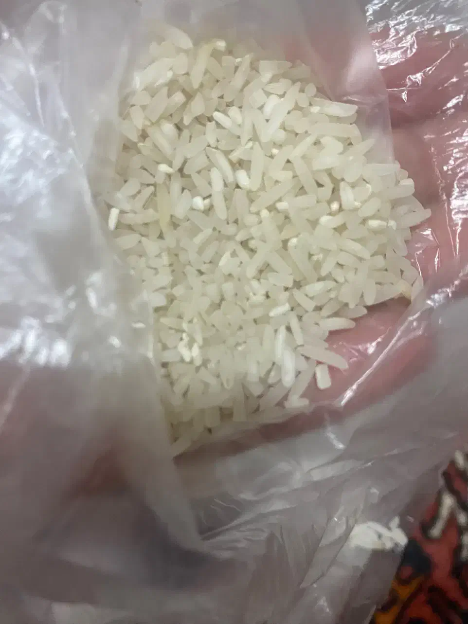 لاشه دم سیاه|خوردنی و آشامیدنی|گنبد کاووس, |دیوار