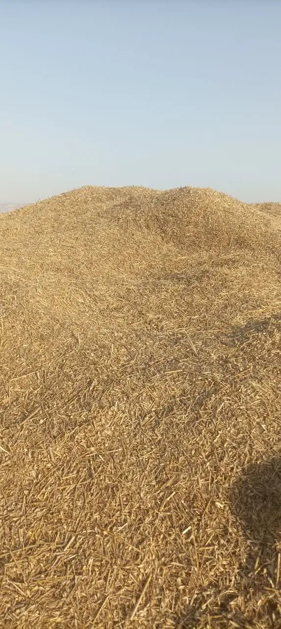 کاه گندم|لوازم جانبی حیوانات|چغادک, |دیوار