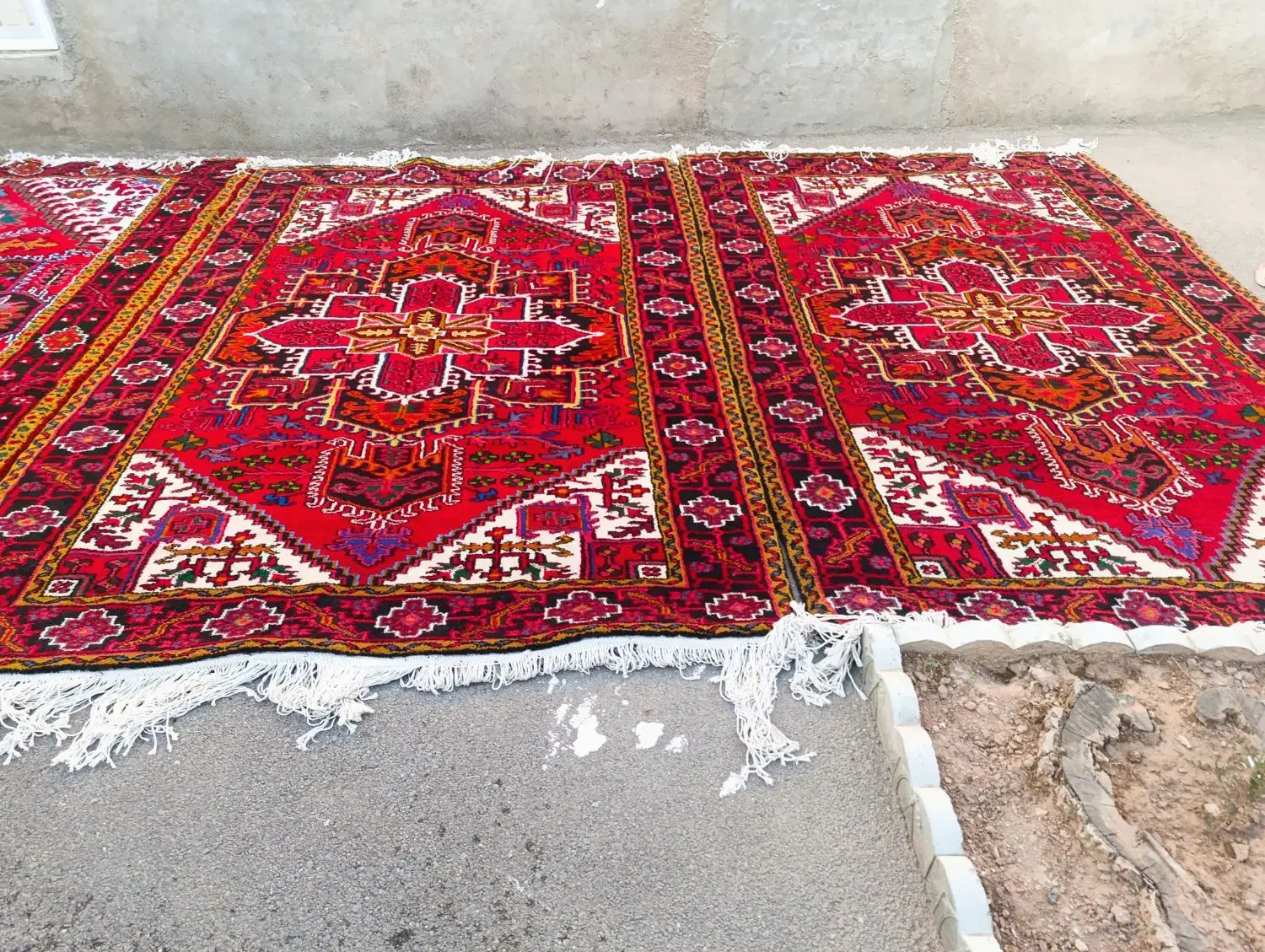 2جفت شش متری|فرش|تبریز, |دیوار