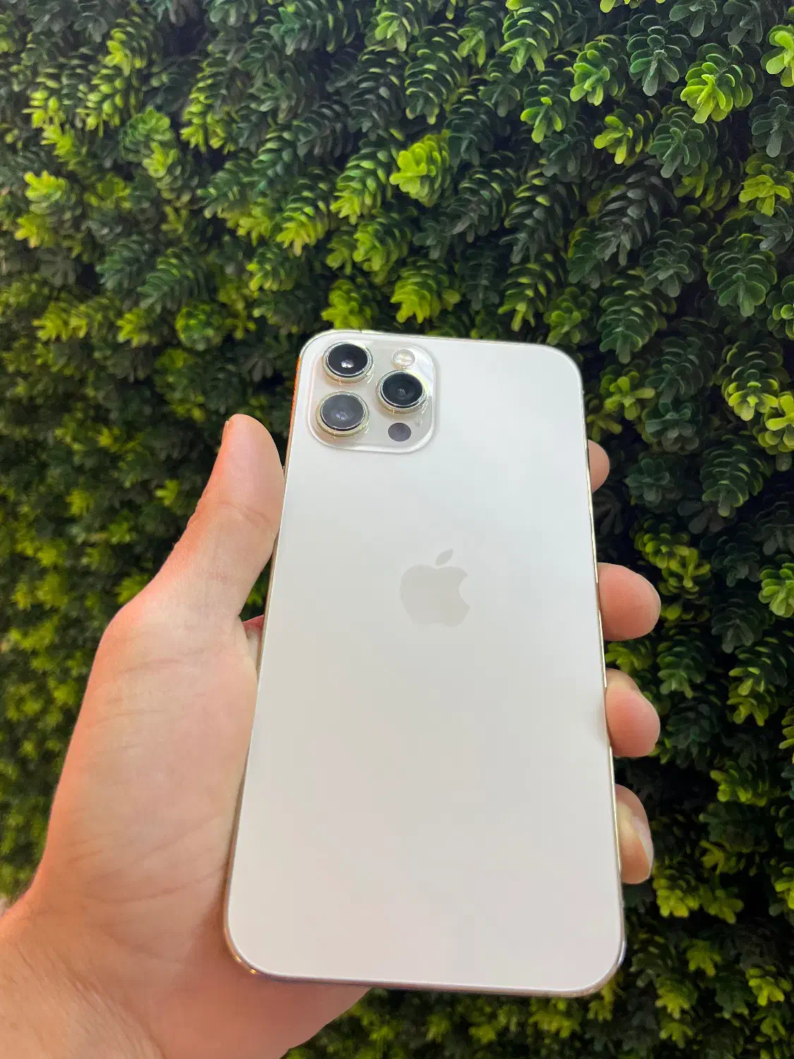 ایفون ۱۲پرومکس ۲۵۶|موبایل|ساری, |دیوار