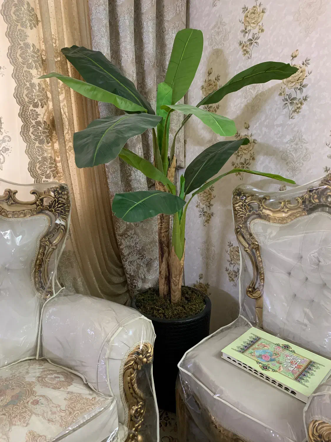 درختچه مصنوعی|گل مصنوعی|مشهد, حسینآباد|دیوار