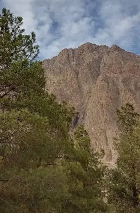 راهنمایی در مورد بهترین مهد کودک آموزشی|فعالیت داوطلبانه|بومهن, |دیوار