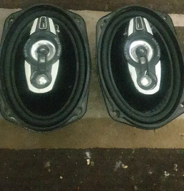 باند گلد پایونر|صوتی و تصویری|شیراز, پانصد دستگاه ارتش|دیوار