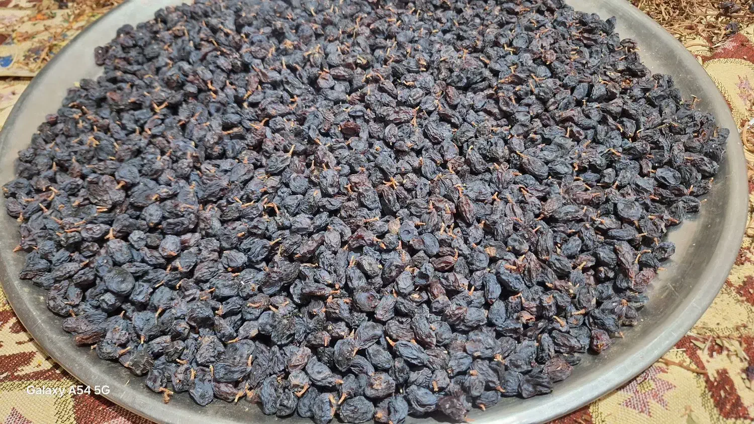 مویز سیاه|خوردنی و آشامیدنی|شیراز, شهرک فرهنگیان|دیوار