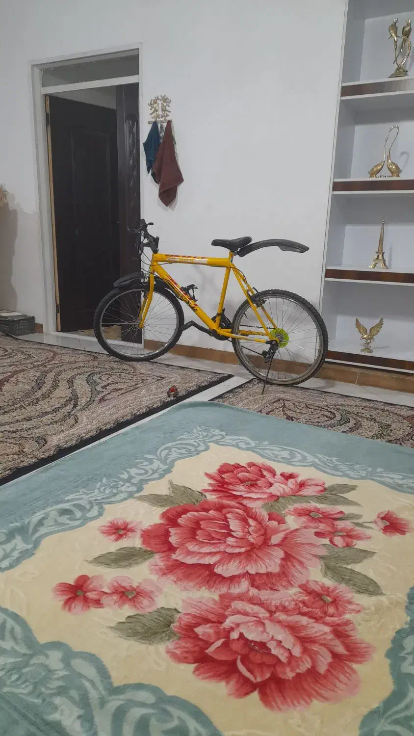 دوچرخه|دوچرخه، اسکیت، اسکوتر|ساروق, |دیوار