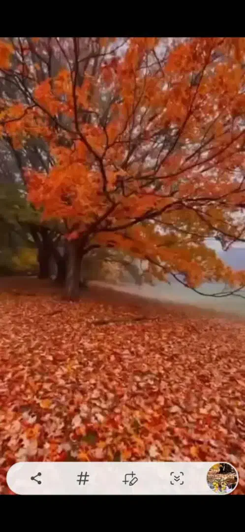 راهنمایی کنید|فعالیت داوطلبانه|بوشهر, |دیوار