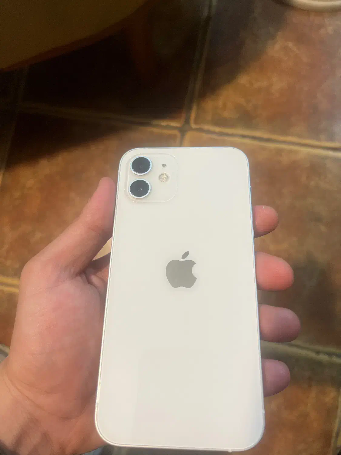 ایفون ۱۲ نرمال|موبایل|شیراز, ریشمک|دیوار