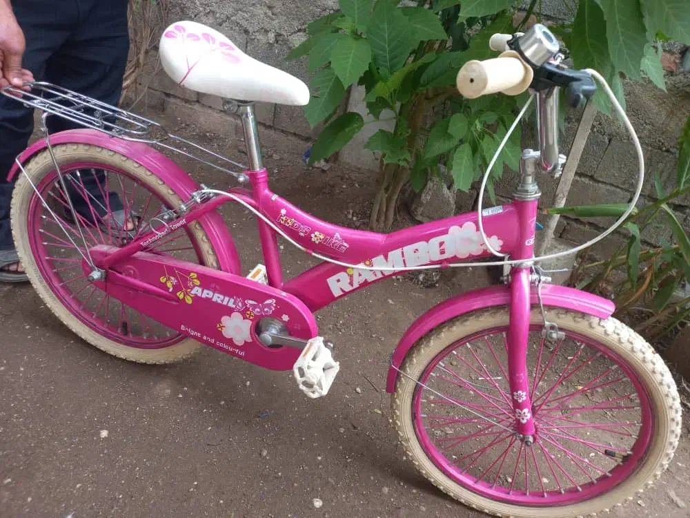 دوچرخه|دوچرخه، اسکیت، اسکوتر|آستارا, |دیوار