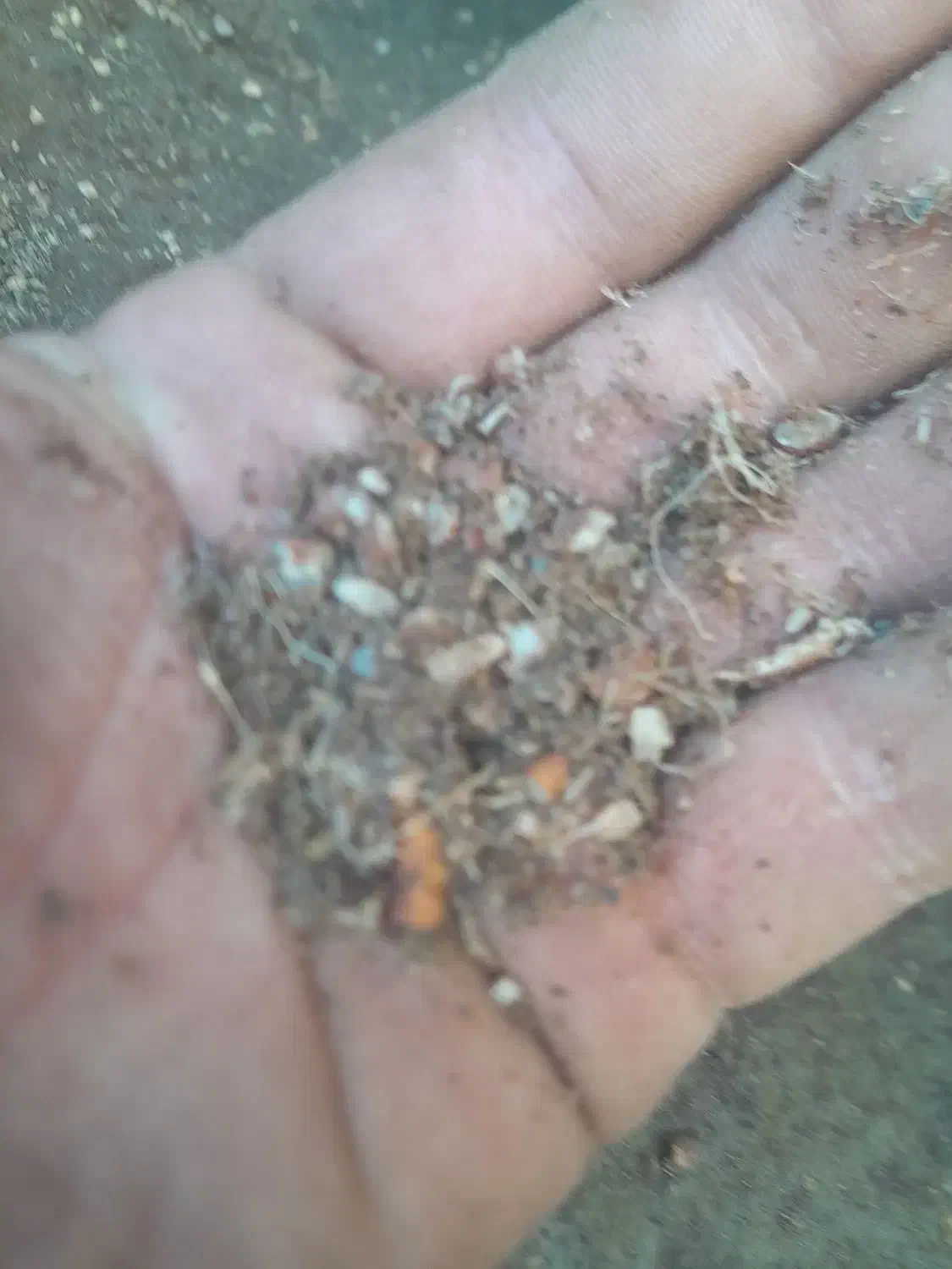 خوراک دام|لوازم جانبی حیوانات|صوفیان, |دیوار