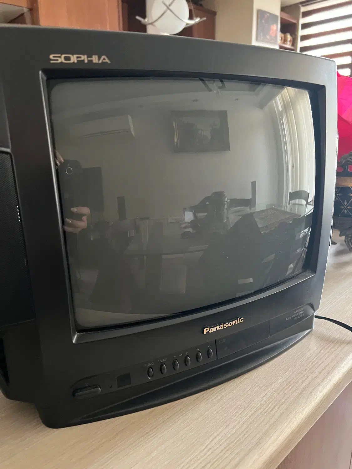 تلویزیون ۱۴ اینچ پاناسونیک|تلویزیون و پروژکتور|تهران, استخر|دیوار