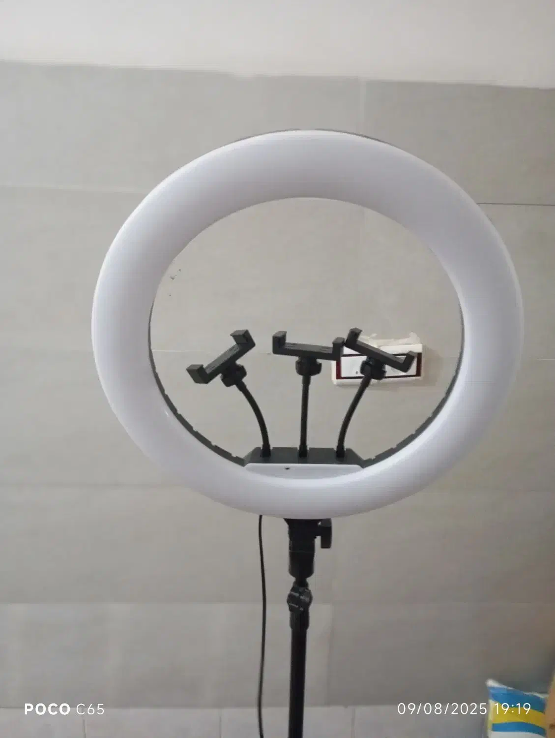 رینگ لایت|دوربین عکاسی و فیلمبرداری|بانه, |دیوار