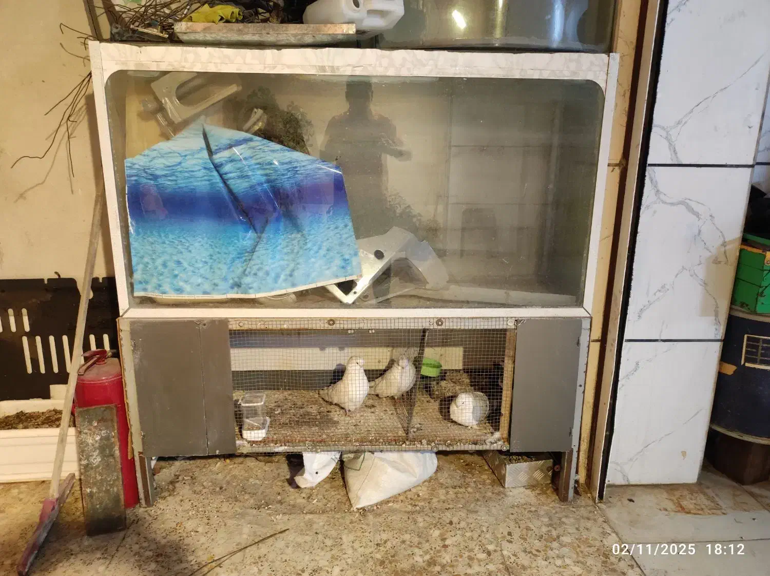 آکواریوم بزرگ ده میل|ماهی|الوند, |دیوار