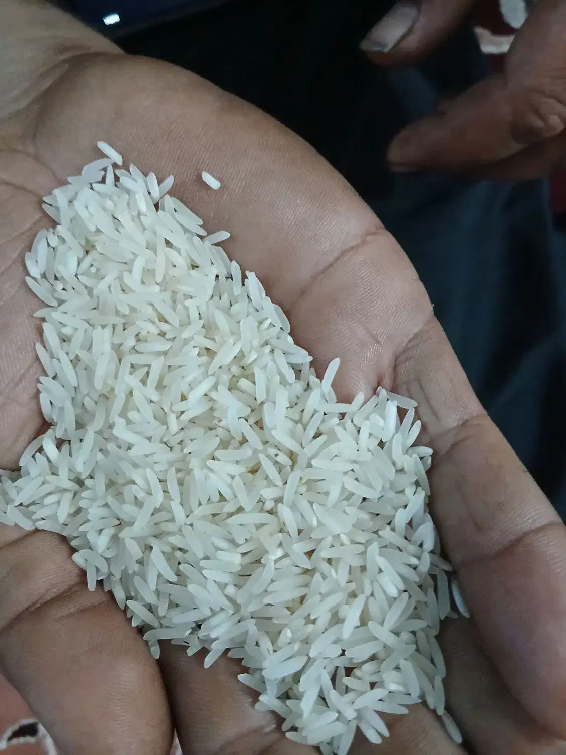 برنج فجر۱۲۰ روزه خوش عطر|خوردنی و آشامیدنی|کردکوی, |دیوار