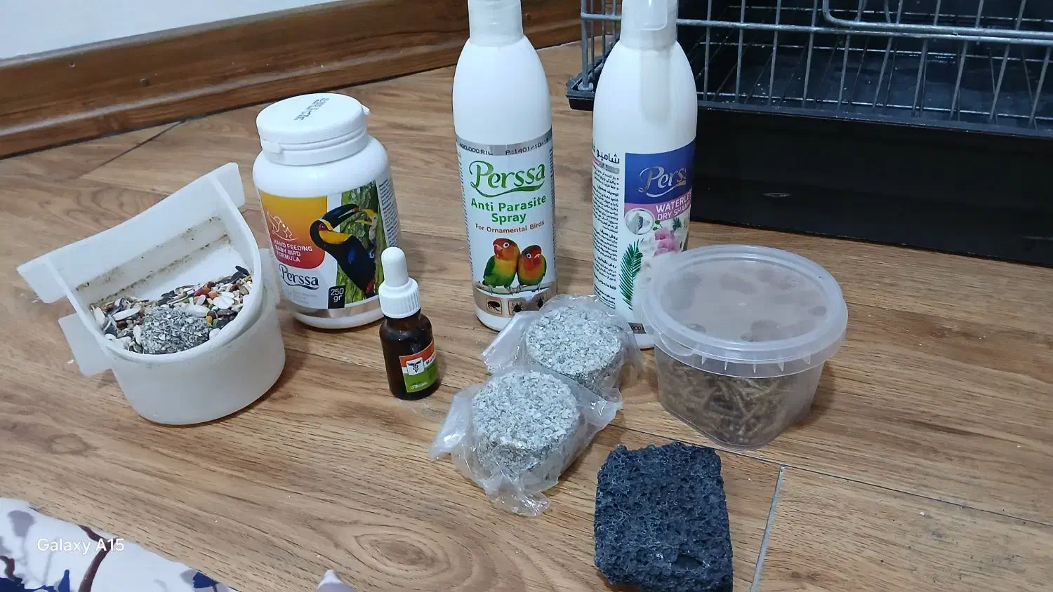 چهار عدد عروس هلندی|پرنده|تهران, شهرک آسمان|دیوار