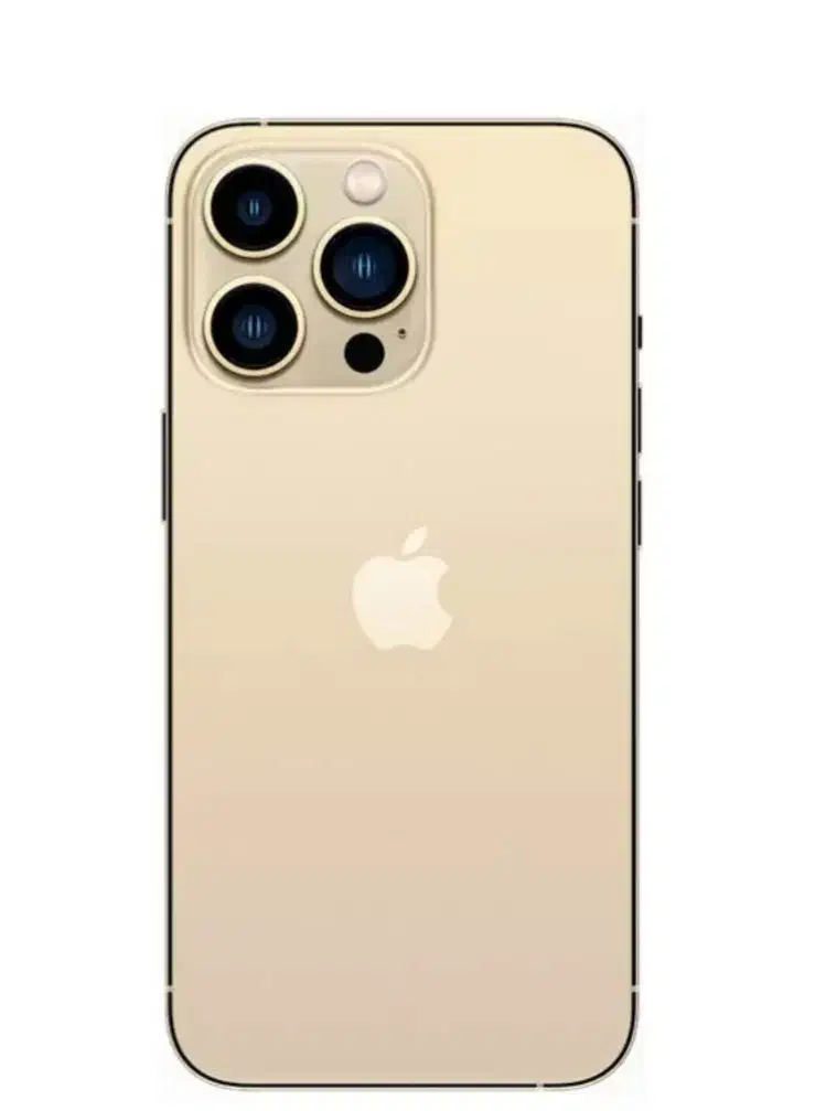 اپل iPhone 13 Pro Max با حافظهٔ ۱ ترابایت|موبایل|قم, دورشهر|دیوار