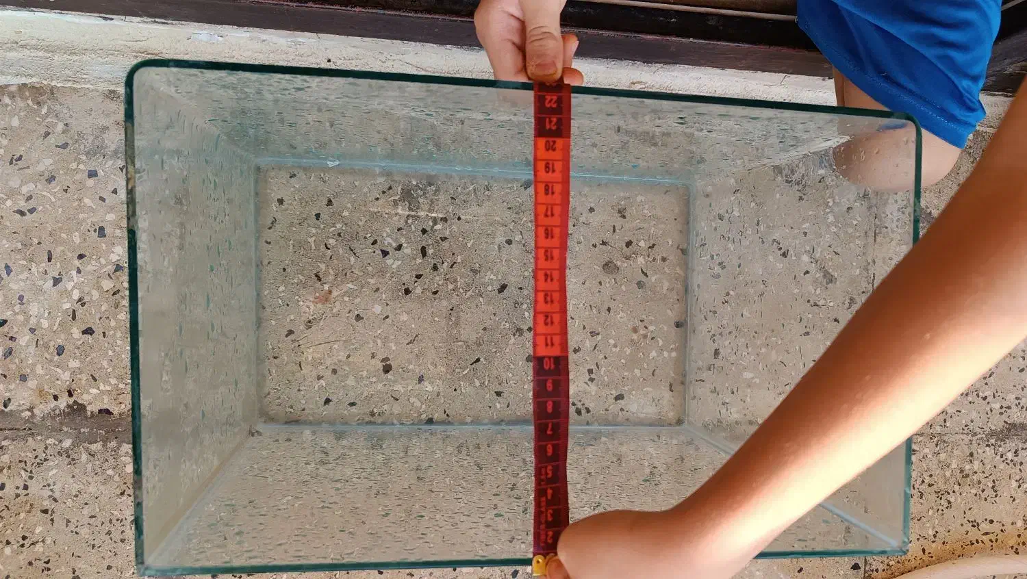 اکواریوم|ماهی|ساوه, |دیوار