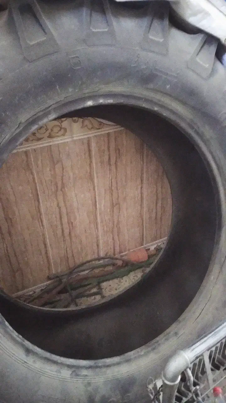 لاستیک تراکتور 399|قطعات یدکی و لوازم جانبی|گلی داغ, |دیوار