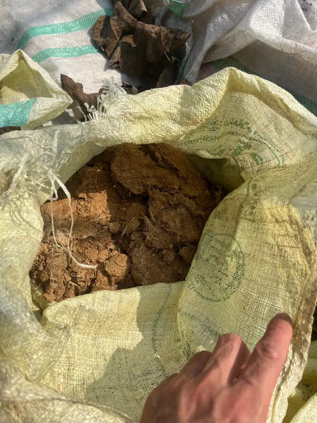 کود مرغی|خدمات باغبانی و درختکاری|لنگرود, |دیوار