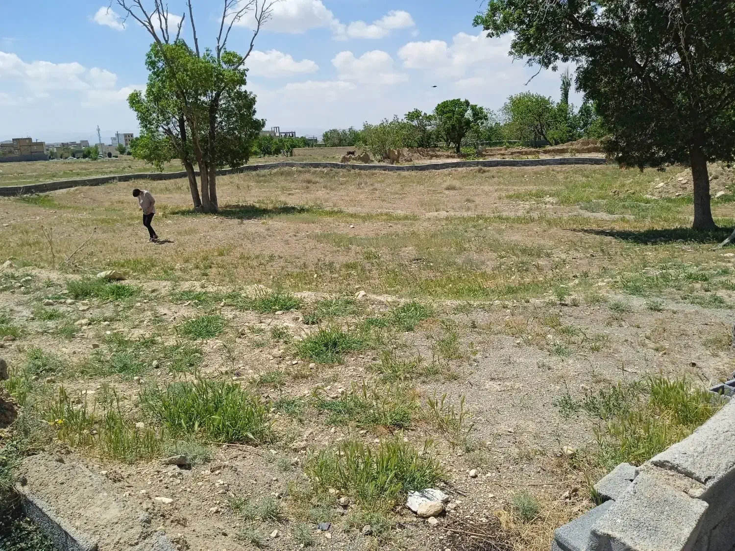 زمین کمیجان1285متری|فروش زمین و ملک کلنگی|کمیجان, |دیوار