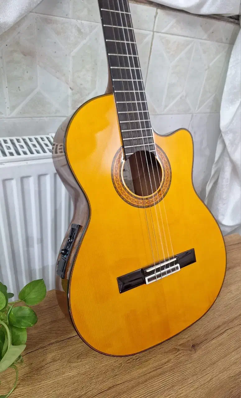 گیتار آریا ak80|گیتار، بیس، امپلیفایر|زاهدان, |دیوار