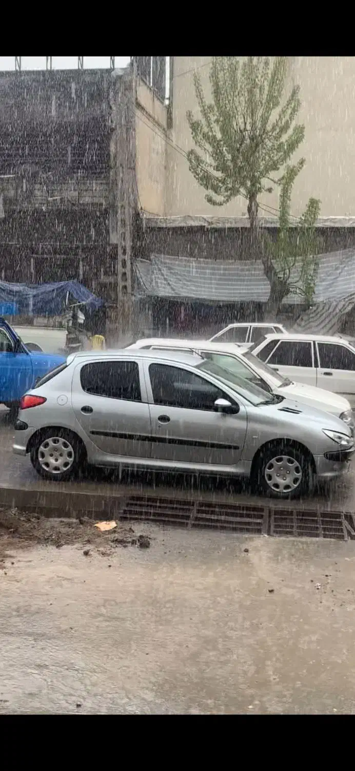 206 تیپ 2 مدل 84|خودرو سواری و وانت|مهاباد (آذربایجان غربی), |دیوار