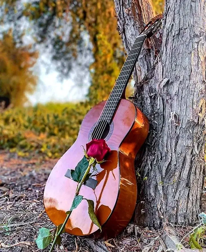 سورپرایز تلفنی|گیتار، بیس، امپلیفایر|خمین, |دیوار