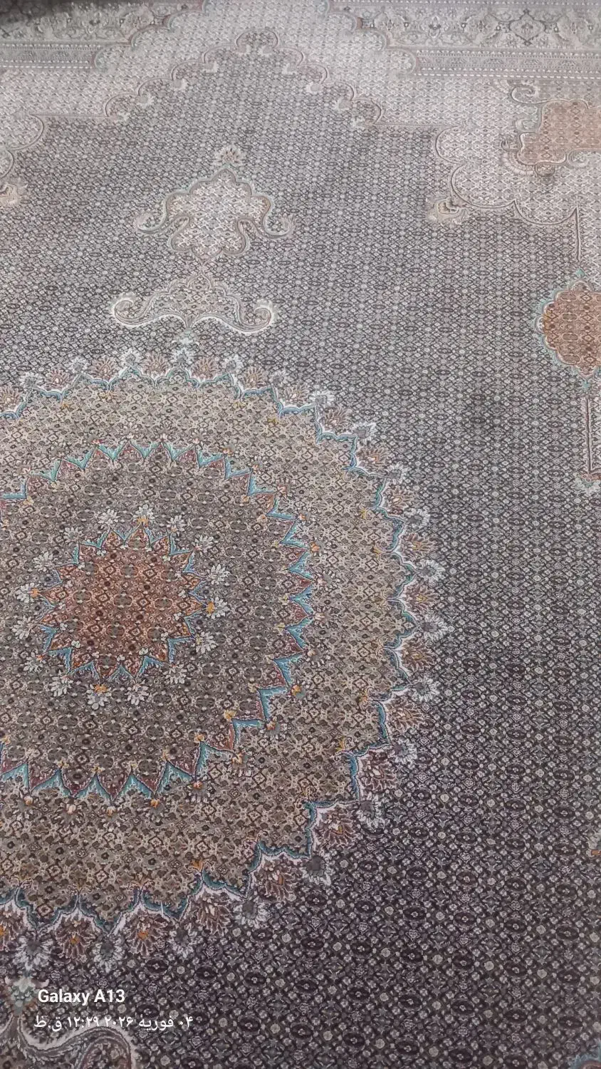 فرش ریز ماهی|فرش|کبودرآهنگ, |دیوار