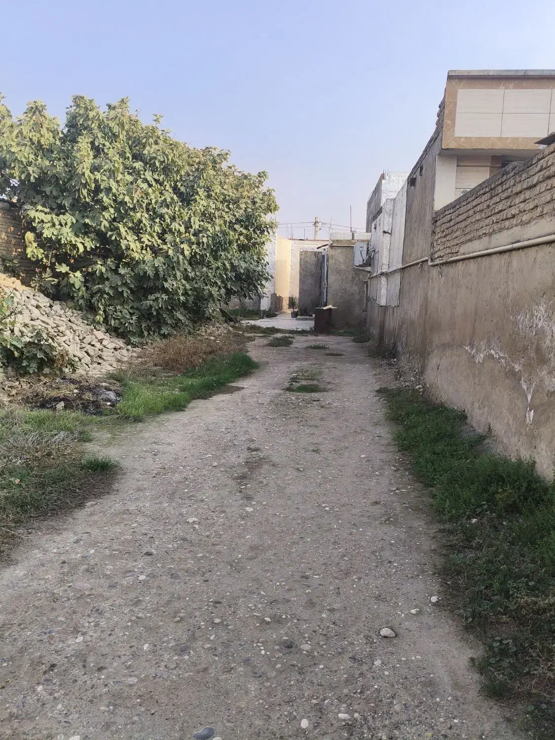 فروشحیاط|فروش زمین و ملک کلنگی|گنبد کاووس, |دیوار