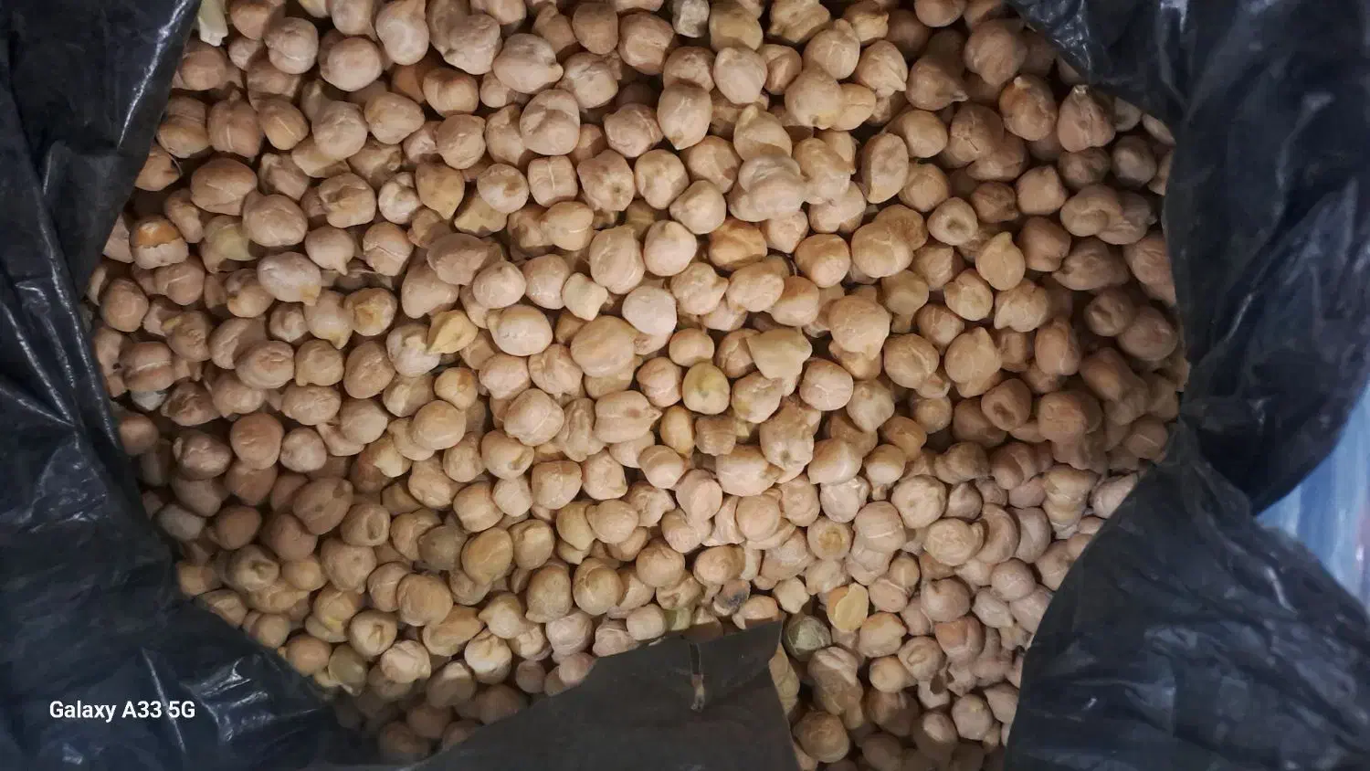 کاه کسن و کاه نخود سبز...و نخود پاک شده|حیوانات مزرعه|لردگان, |دیوار