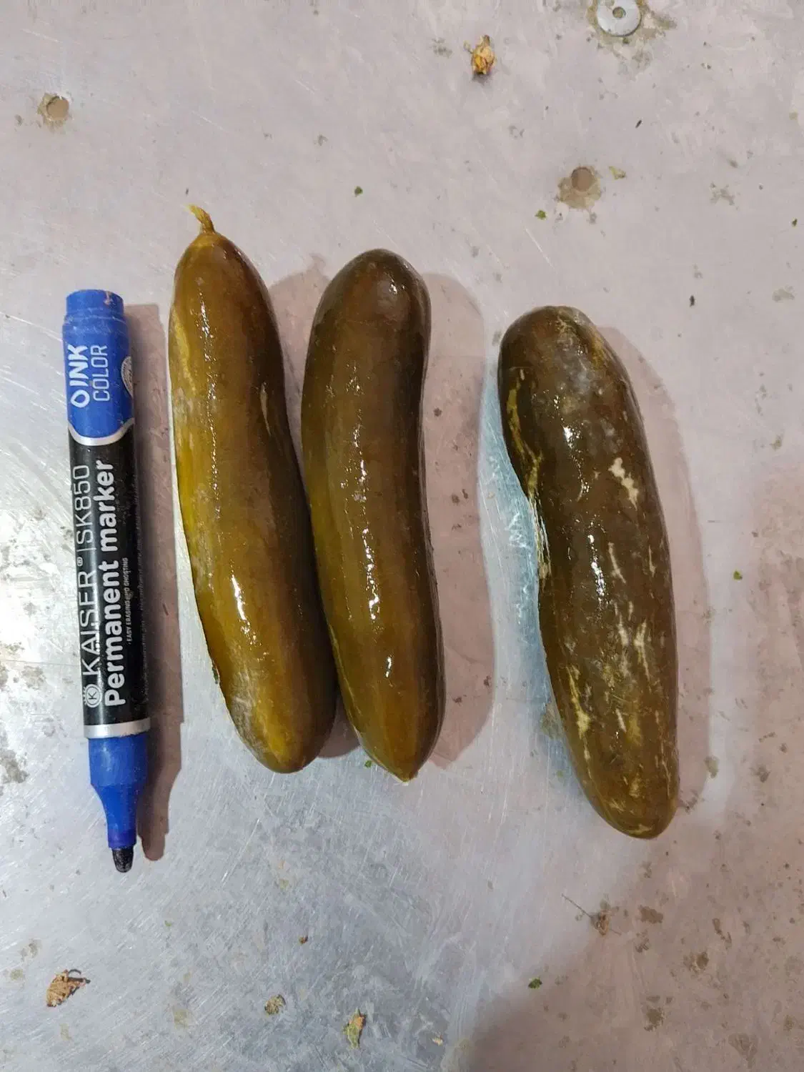 انواع ترشی خانگی|خوردنی و آشامیدنی|رباطکریم, رباطکریم|دیوار