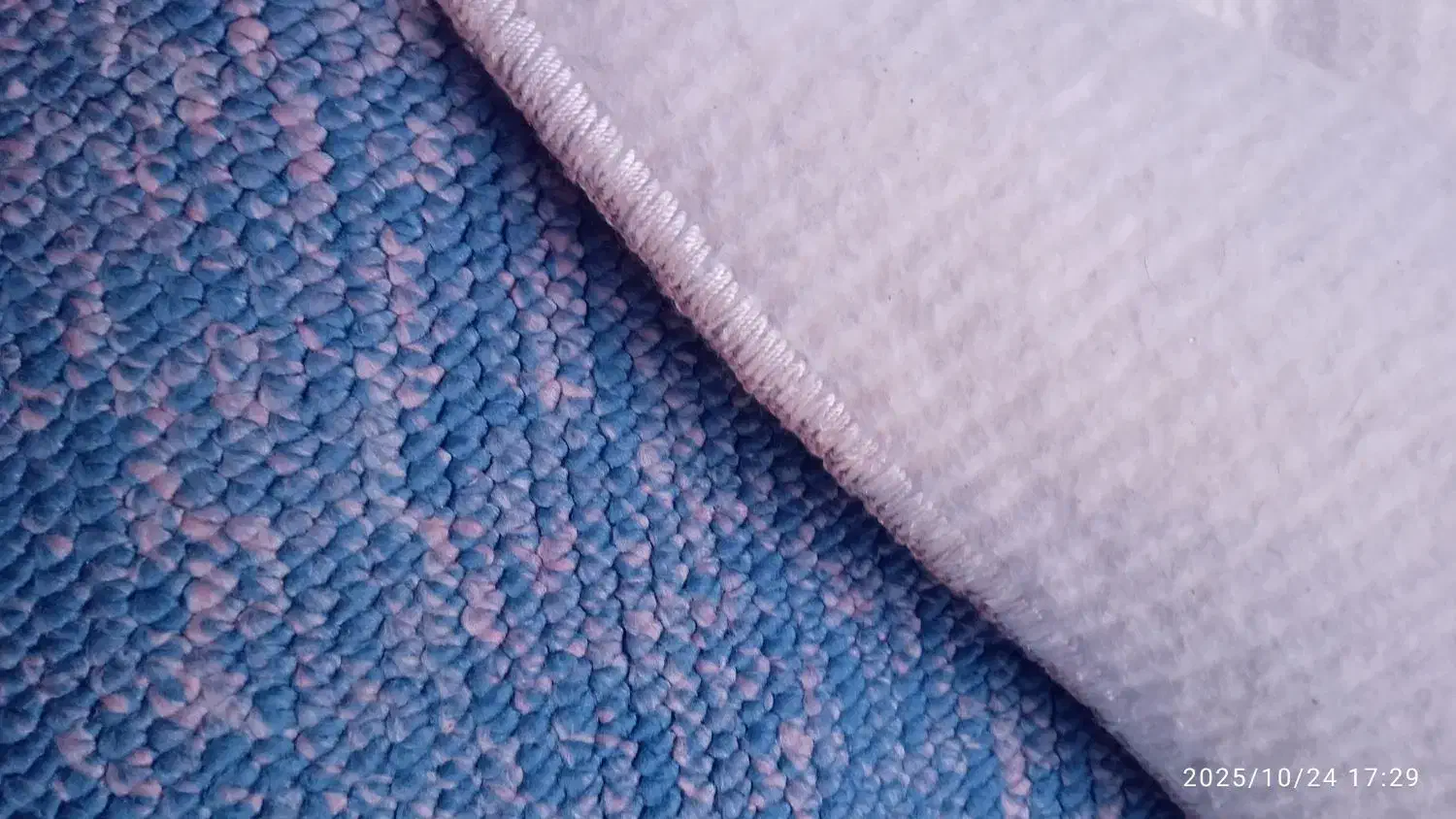 پالاز موکت|موکت|سقز, |دیوار