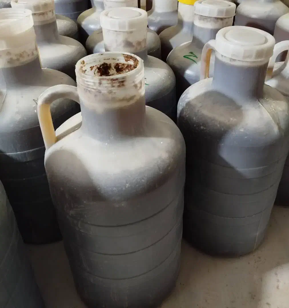 عسل کنار کیفیت خوب 430 وعسل بهاره 270|خوردنی و آشامیدنی|کرمان, |دیوار