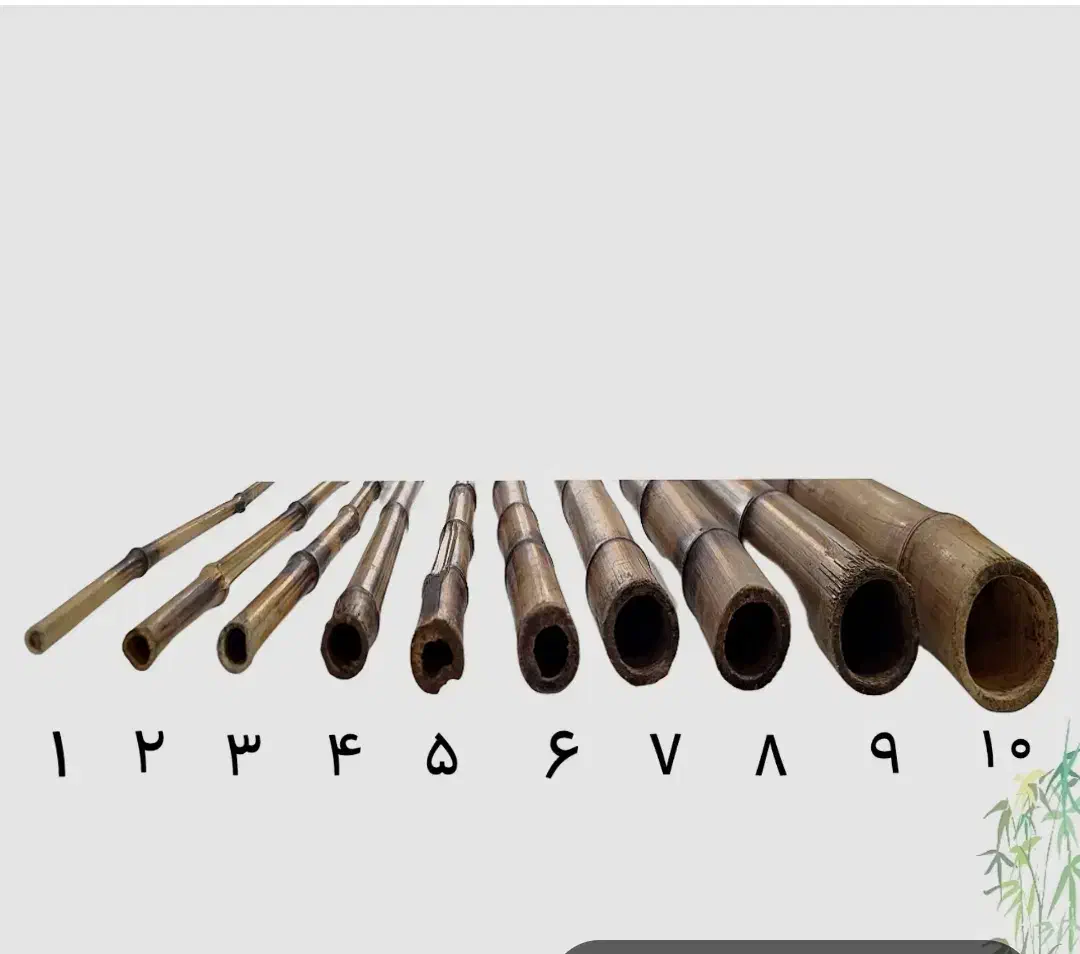 نی خام شاخه ای|سازهای بادی|اصفهان, بیدآباد|دیوار