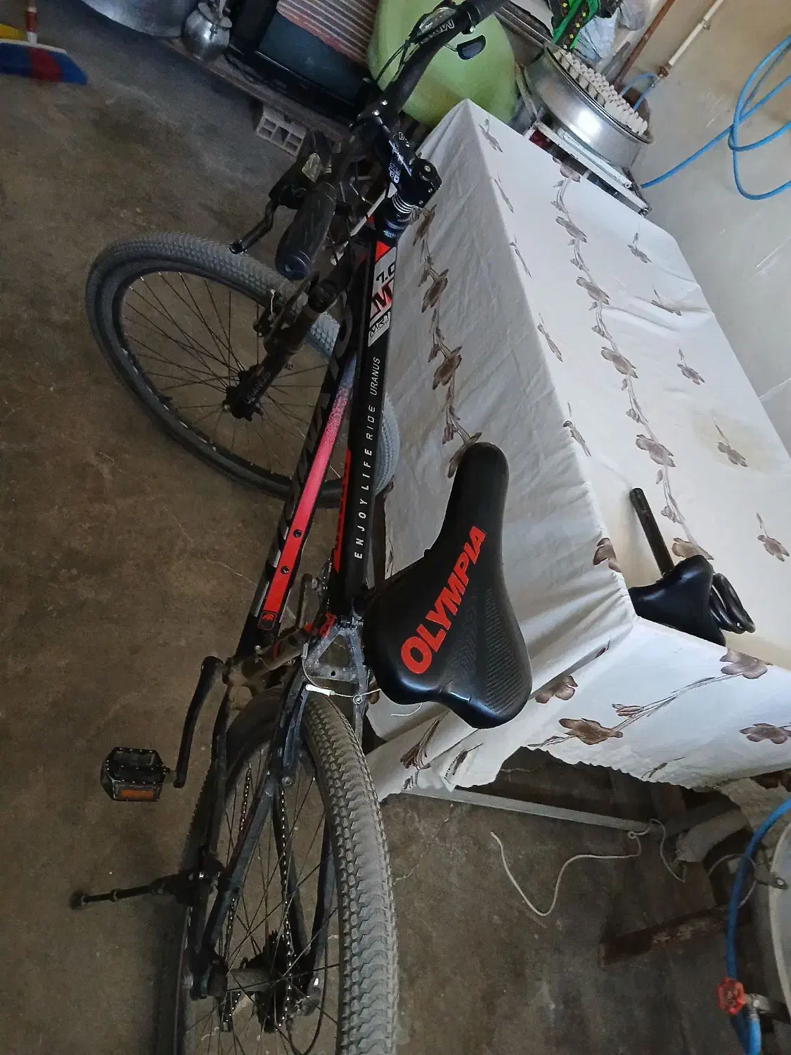 دوچرخه ۲۹ المپیا|دوچرخه، اسکیت، اسکوتر|لردگان, |دیوار