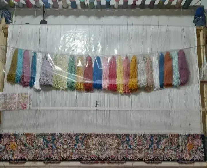 فرش نیمه کاره|فرش|تبریز, |دیوار