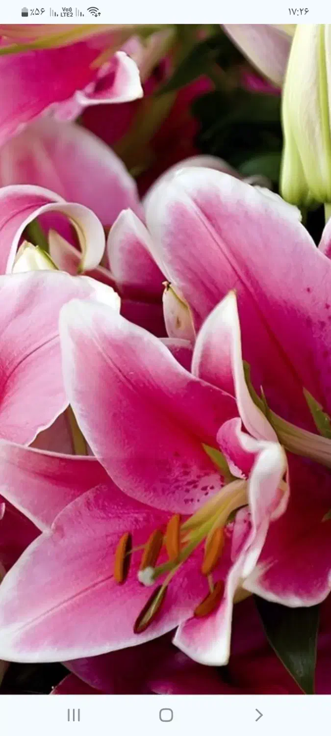 استخدام خواهران|استخدام اداری و مدیریت|یزد, |دیوار