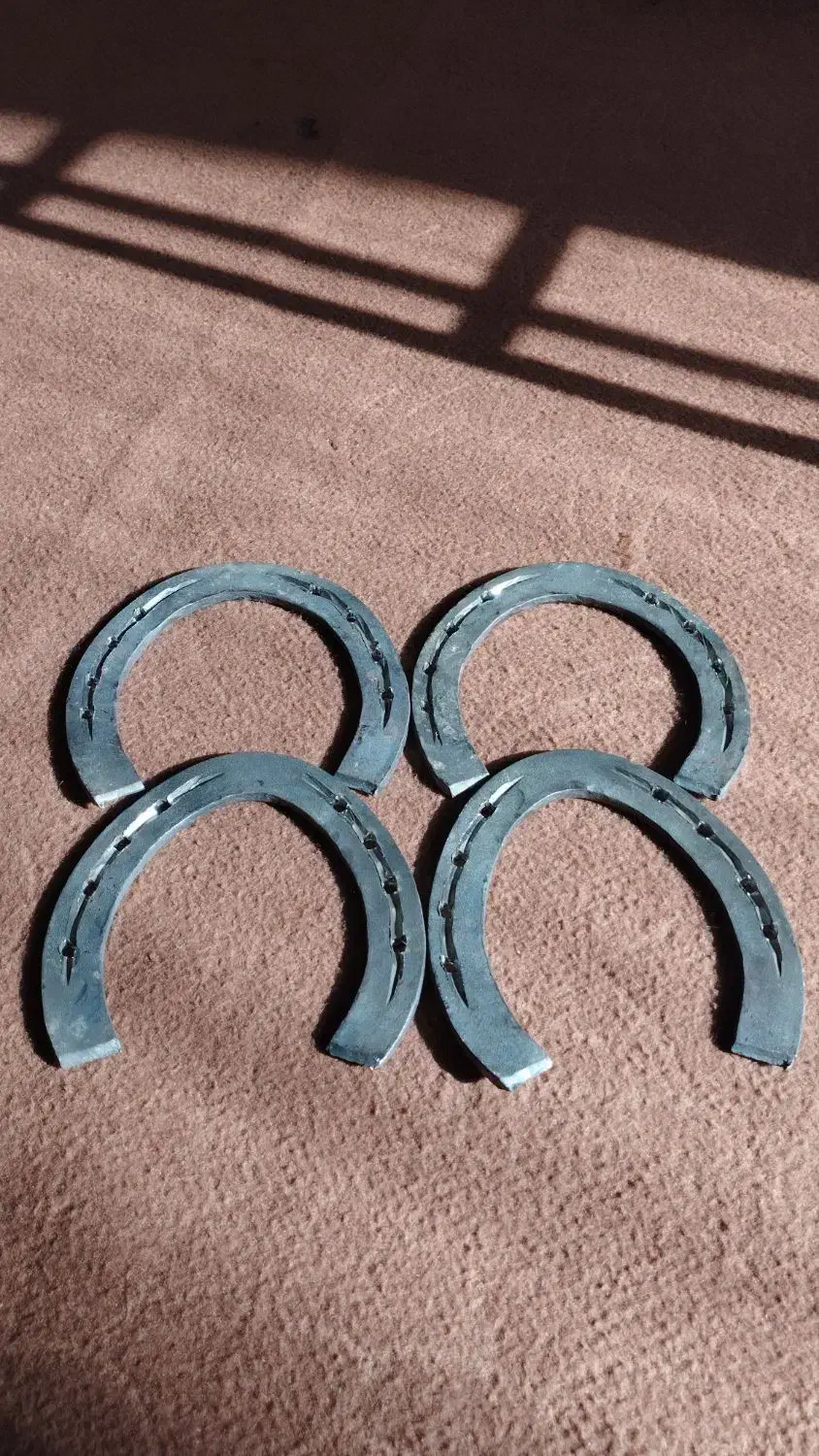 نعل اسب آهنی با کیفیت بالا|اسب و تجهیزات اسبسواری|گنبد کاووس, |دیوار