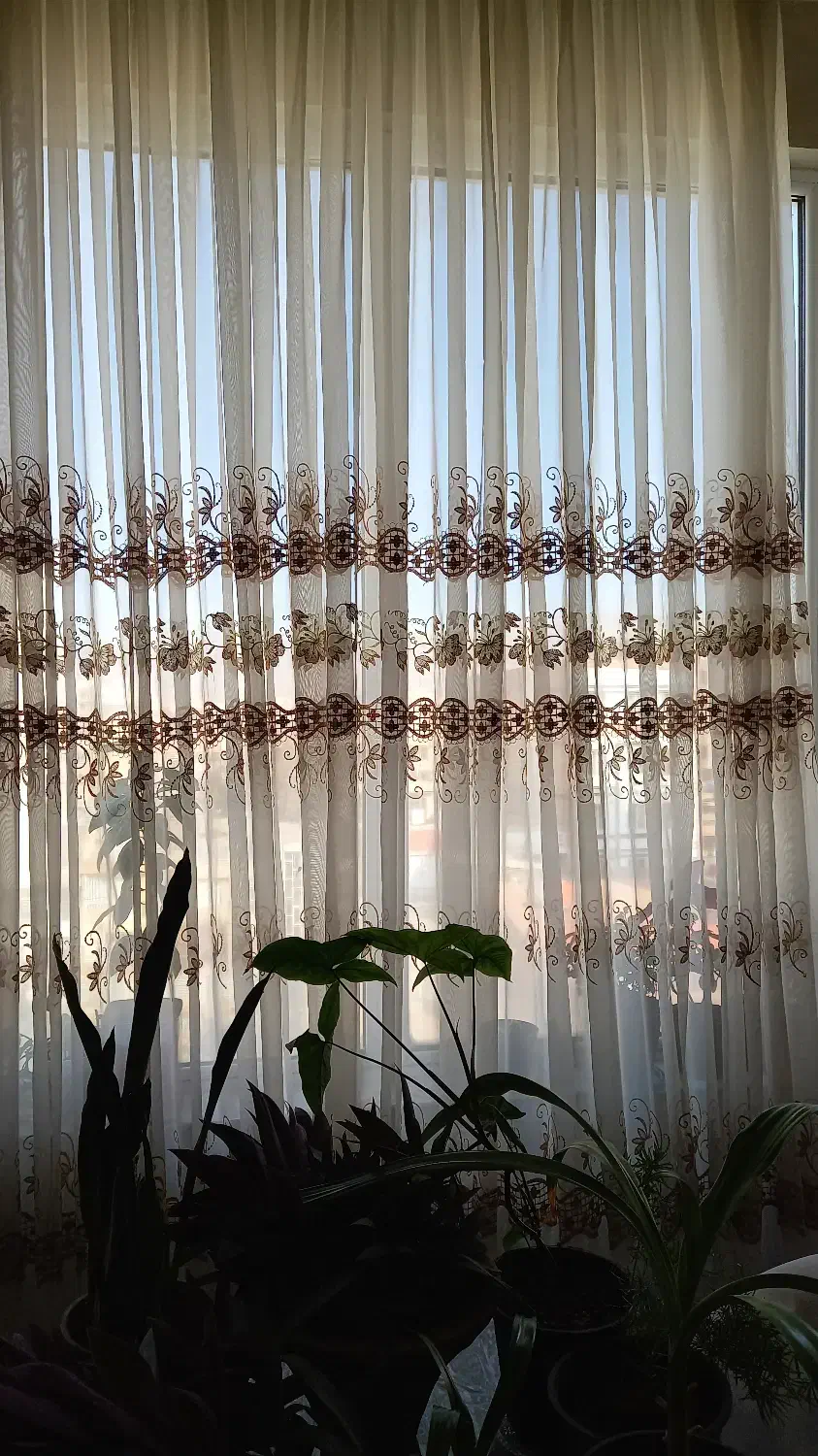 پرده حریر|پرده، رانر، رومیزی|نیشابور, هفده شهریور|دیوار