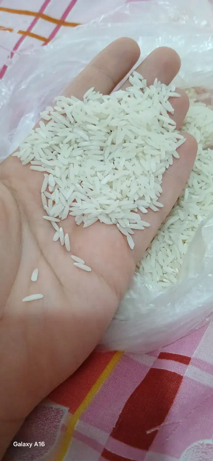 برنج هاشمی تازه|خوردنی و آشامیدنی|کوچصفهان, |دیوار